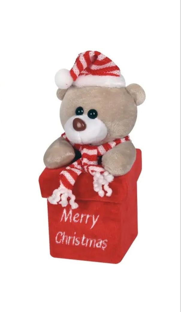 Плюшено мече " с кутия - изненада